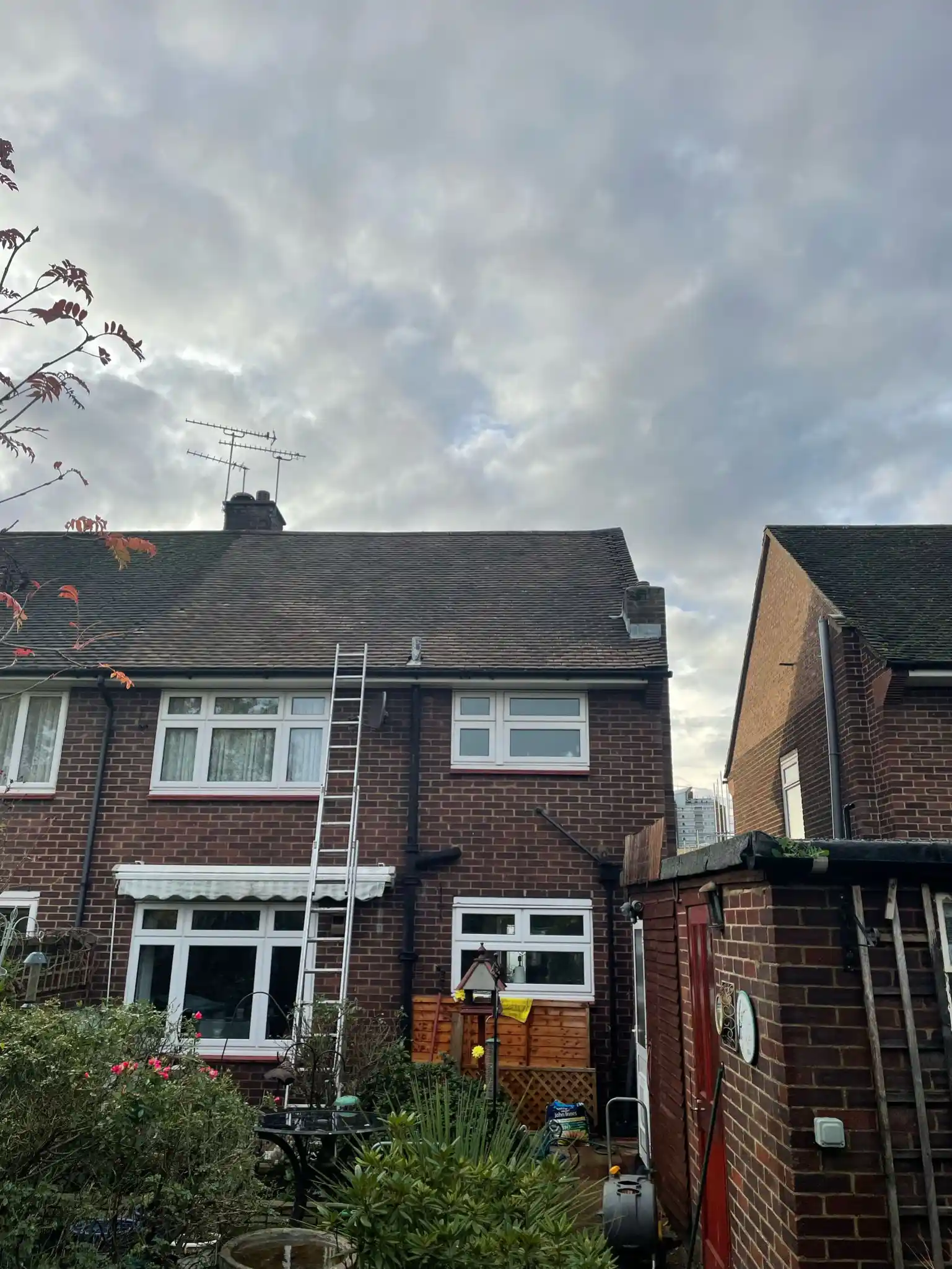 Roof being deep cleaned during moss removal in Watford