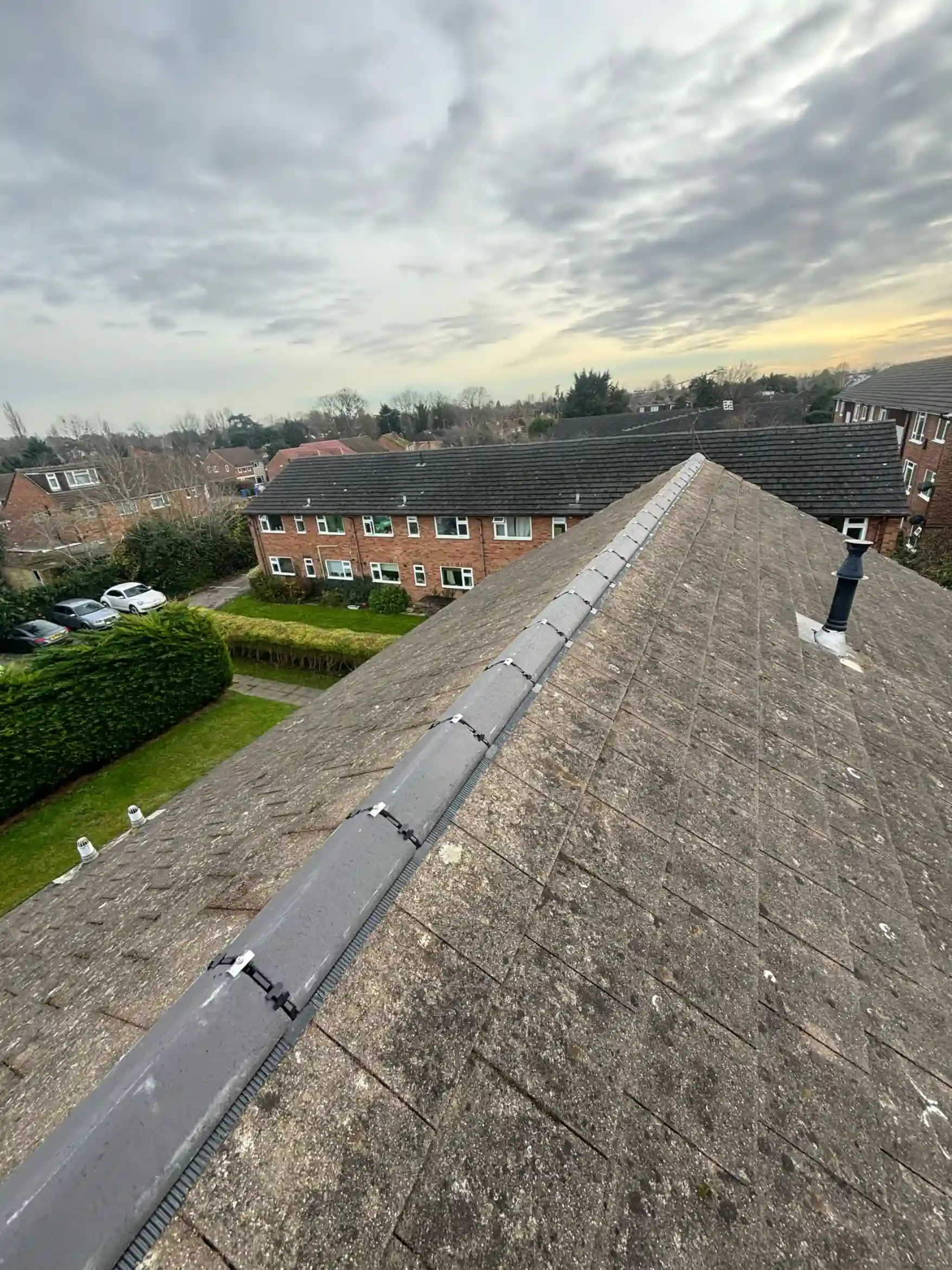 Clean, moss-free protected roof in Watford