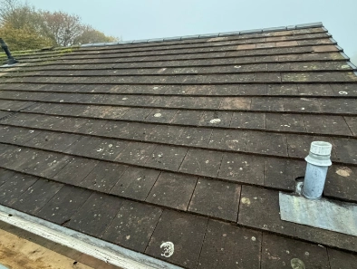Moss removal by hand